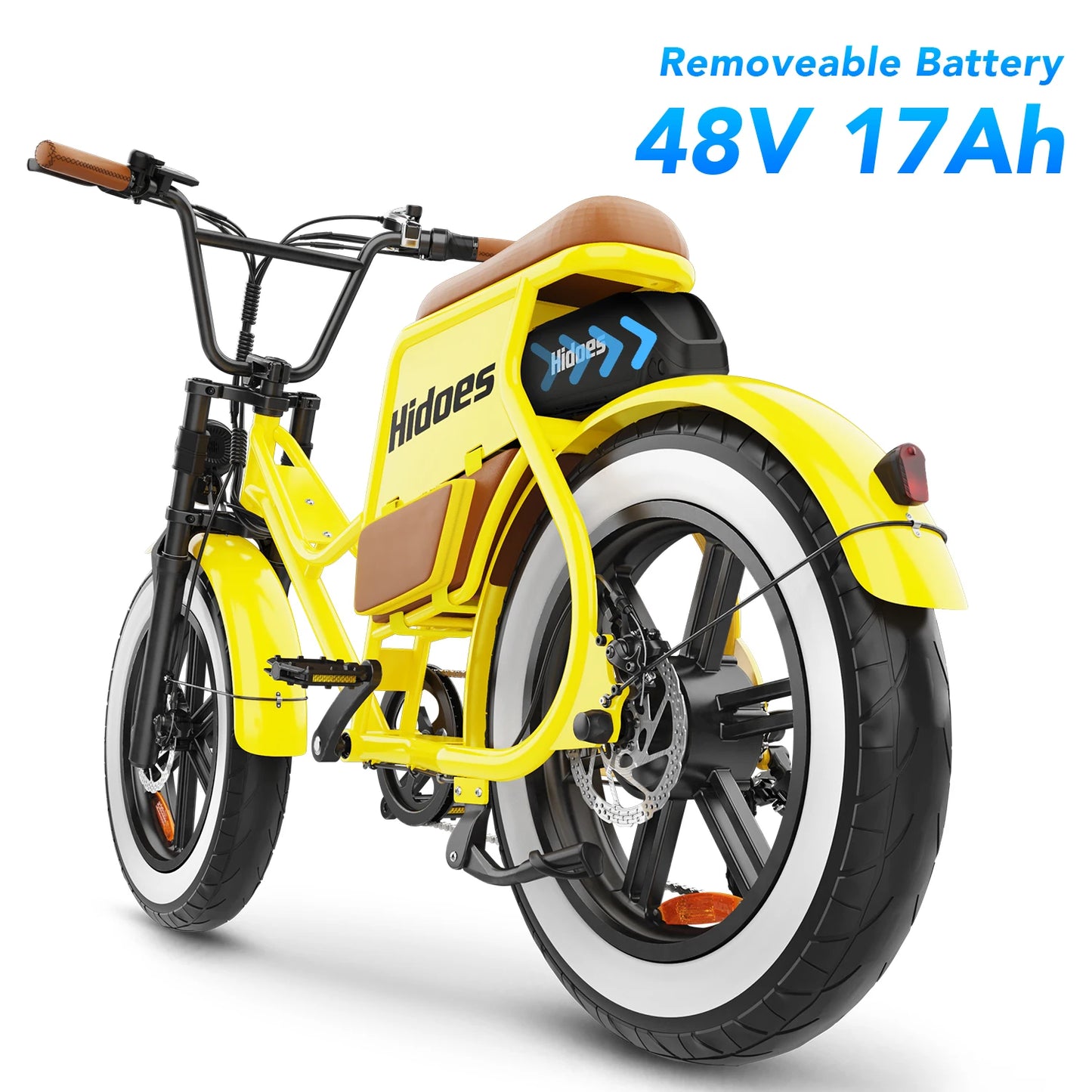 Hidoes C8 Fat Tire Electric Bike 700W 48V 17Ah All Terrain