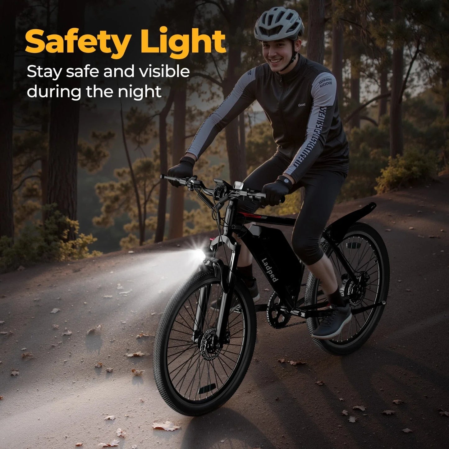 Ladped 26 Inch Electric Mountain Bike 750W 48V E Bike